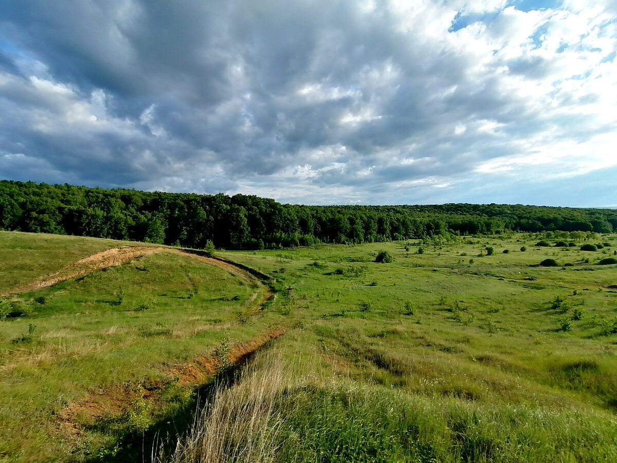 Авторская фотография