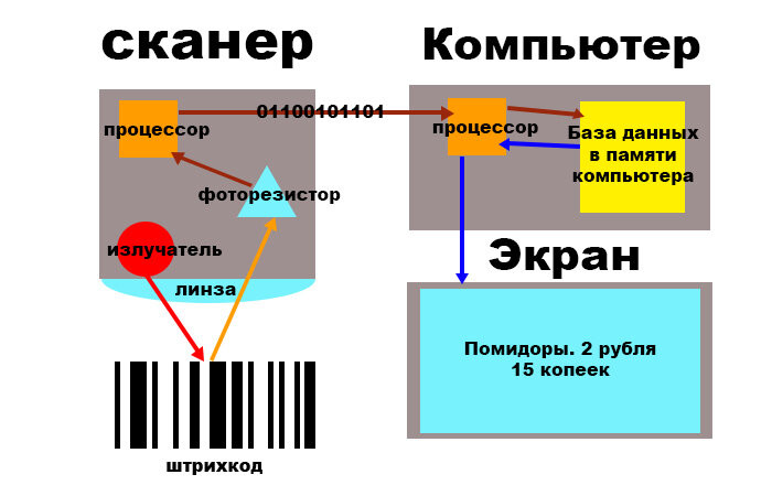 Считыватель картинок 6 букв сканворд