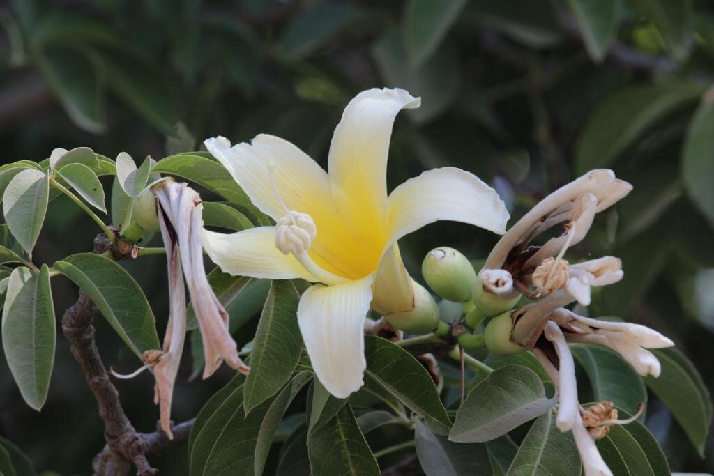 Фото из личного архива.