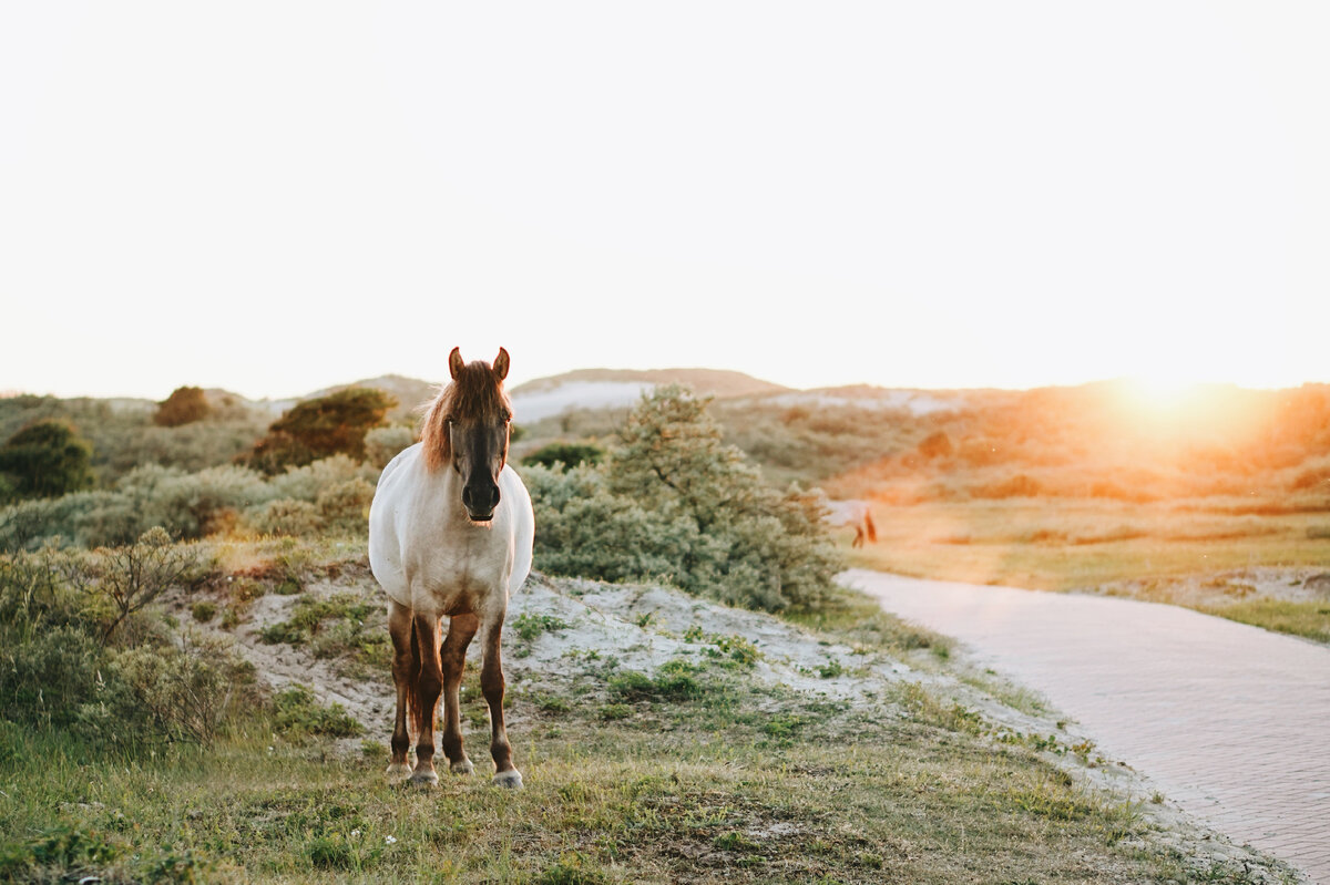 Фото Питера Кистемана на Unsplash