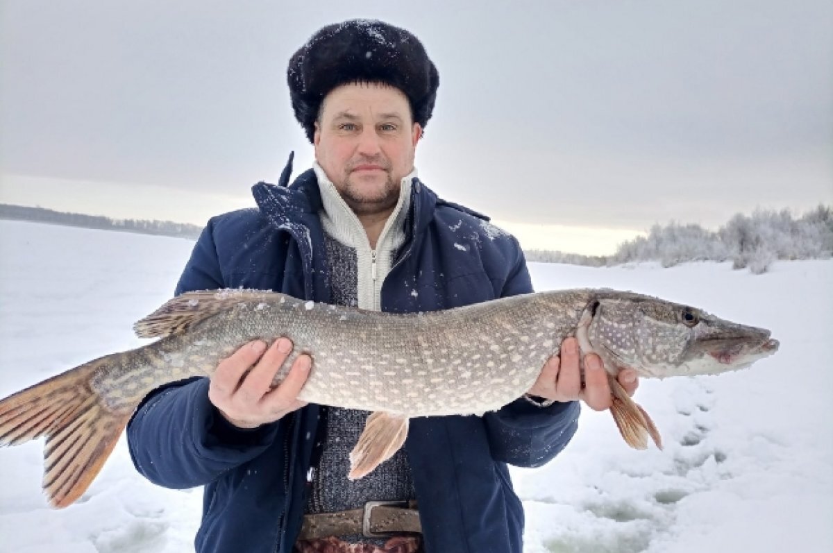    Зверюга: жители Томска показали самых крупных рыб и уловы января