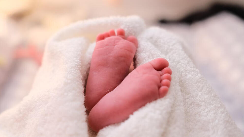 Фото: © Unsplash/Marcel Fagin