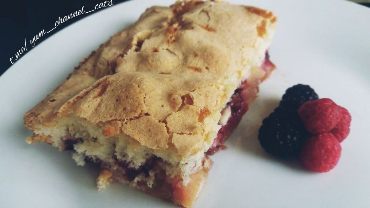 t.me/yum_channel_cats