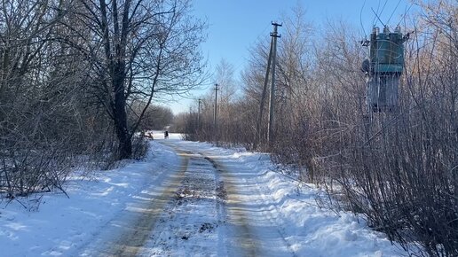 В сельской местности собаки гуляют по улице без привязи! Не смогли дойти до конца поселка из-за злых собак