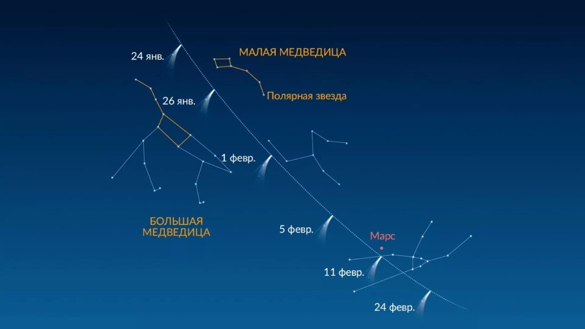 Где искать комету в ночном небе - карта / © Предоставлено Андреем Солодовником