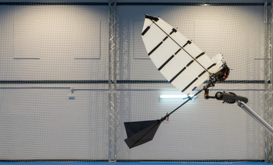 механическая птица