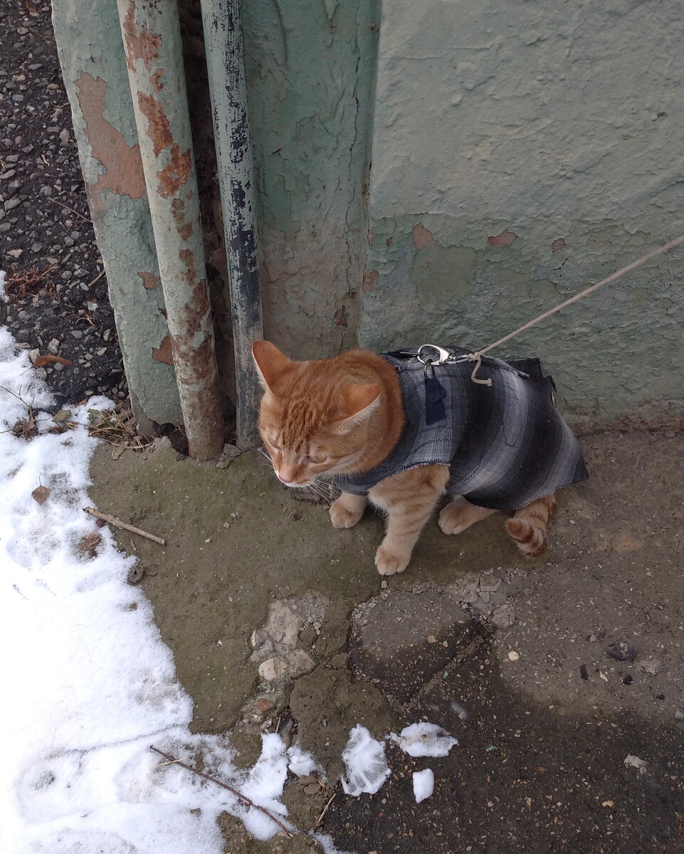 Личное  фото