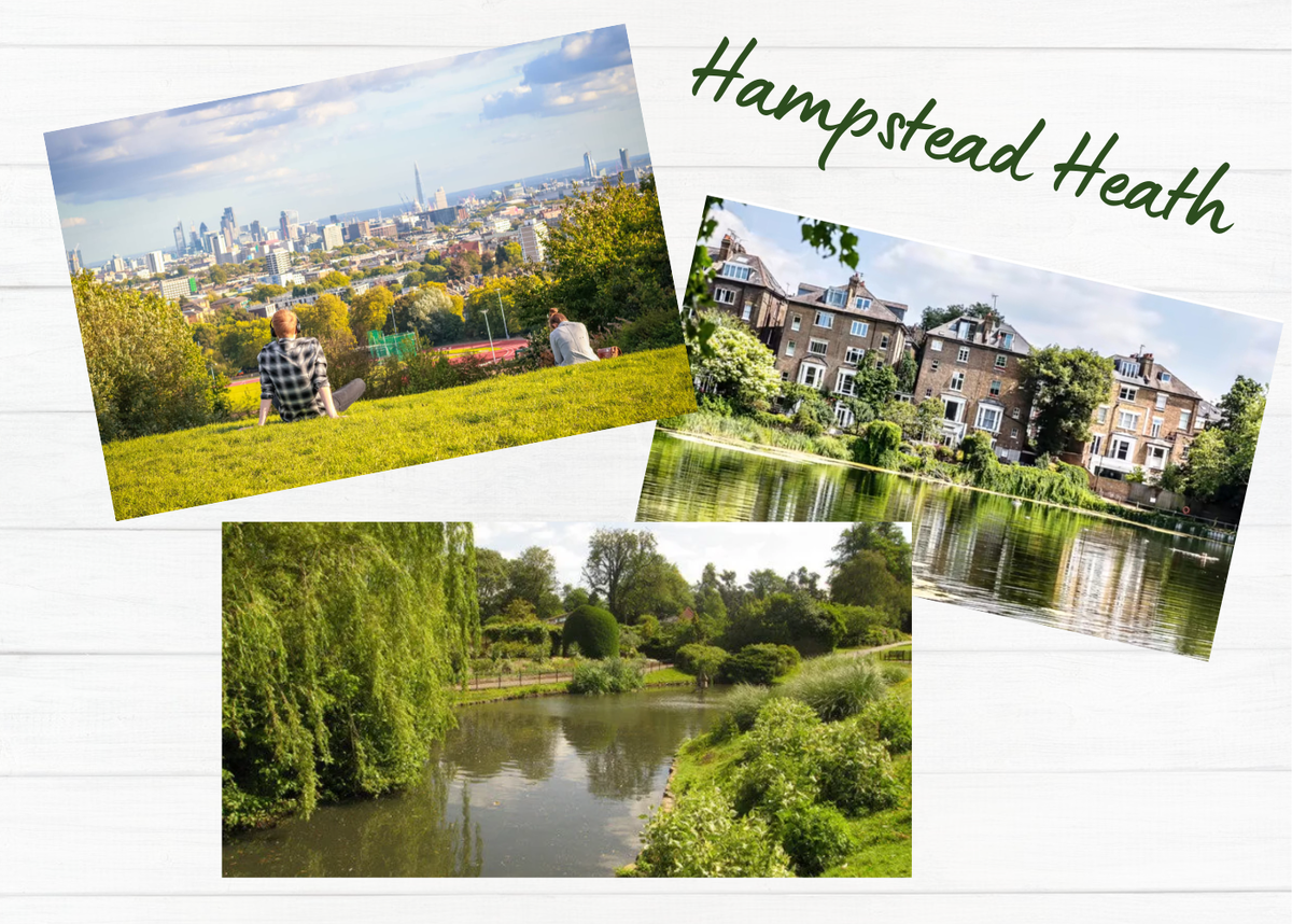 Парк Hampstead Heath