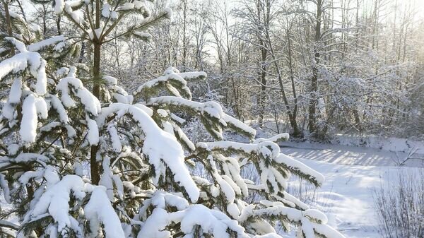    © Sputnik / Альфред Микус