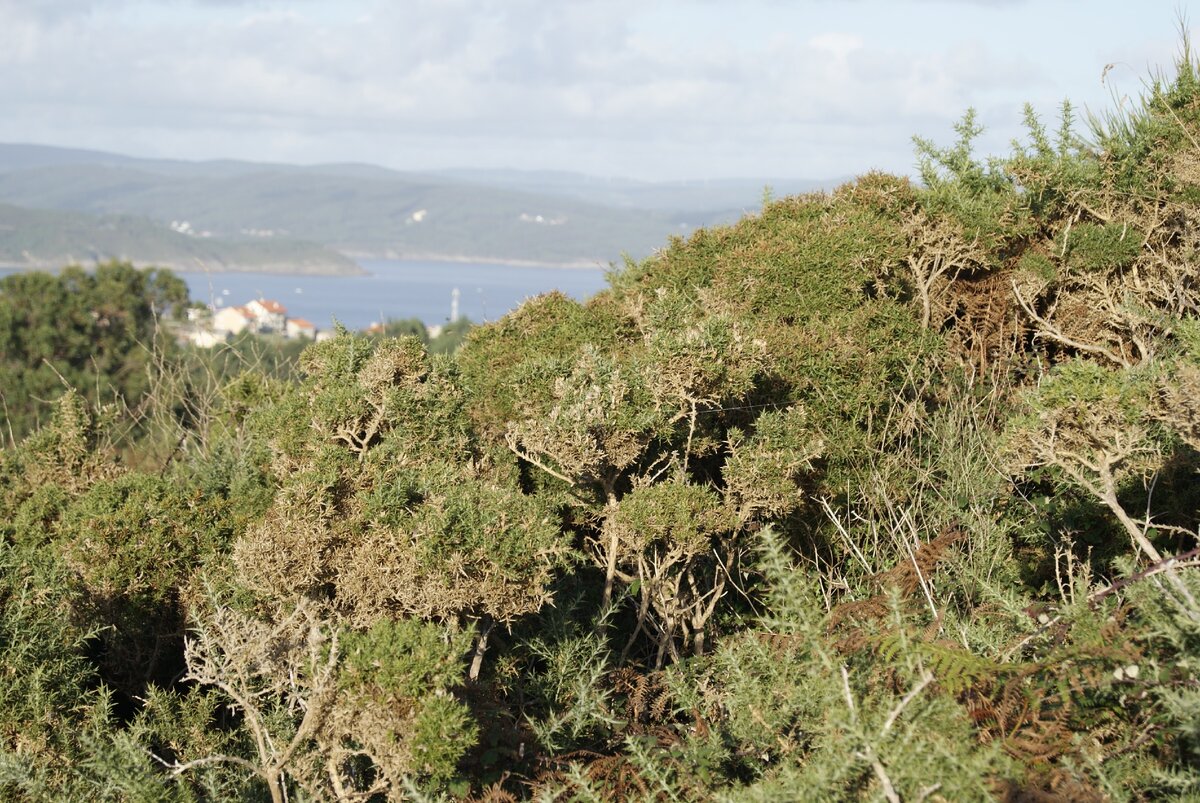 Просто мир очень большой, и чтобы человеку со средним доходом весь его объехать придется прибегать к некоторым "ухищрениям"
