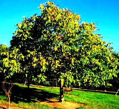 Фото из открытых источников Интернета