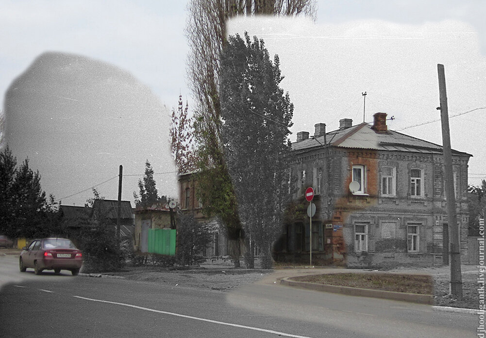 

Давайте заглянем ещё в один дворик на Соколовой. Тут на заборе мы видим африканскую флору и фауну.
