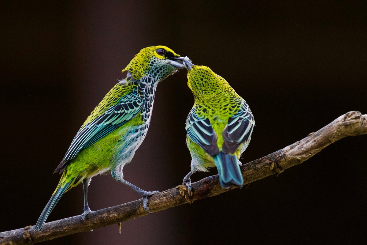 Автор фото James Wainscoat