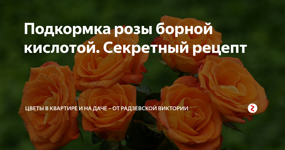 Борная кислота в медицине. Борная кислота для растений. Борная кислота порошок для ног. Кристаллы борной кислоты. Борная кислота свечи для женщин.