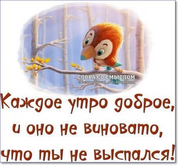 50 мотивирующих и вдохновляющих цитат на каждый день