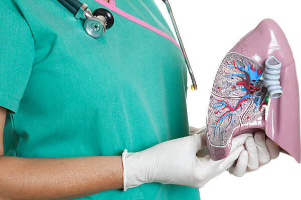 Туберкулез в закрытой форме — это разновидность инфекции, вызываемой туберкулезной микобактерией, которая развивается в организме человека при первичном заражении микроорганизмами. Изначально палочка Коха имеет условно-патогенный характер, то есть при нормальном иммунитете она находится в пассивном состоянии, не размножается и не приводит к развитию деструктивного процесса в легких.