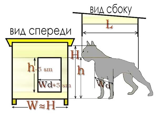 Пропорции собачьей будки относительно её хозяина