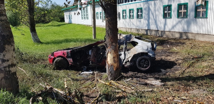  Фото: ГИБДД по городу Вологде