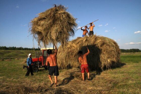                                  Картинка взята с www.google.ru/search