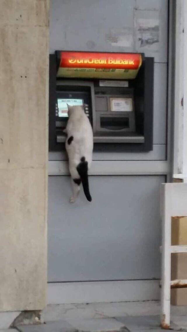 Источник: https://vk.com.