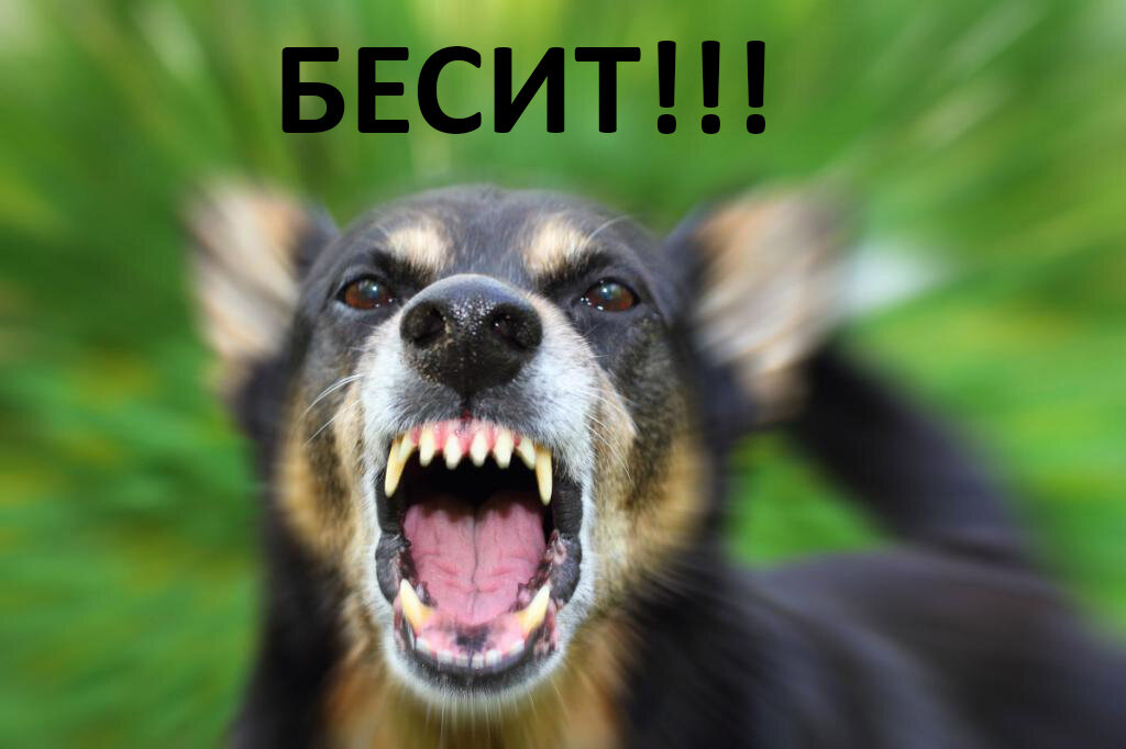 Картинка с сайта Syl.ru