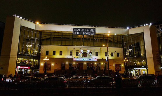 Фото: соцсети