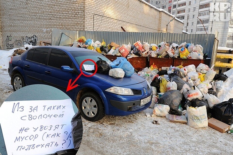 Фото из открытых источников. 