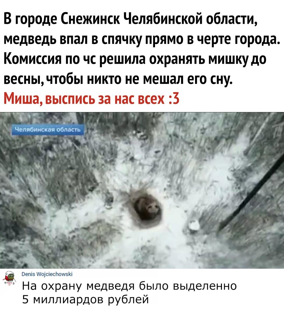 В интернете уже шутят на эту тему, мем: ЛЕПРОЗОРИЙ