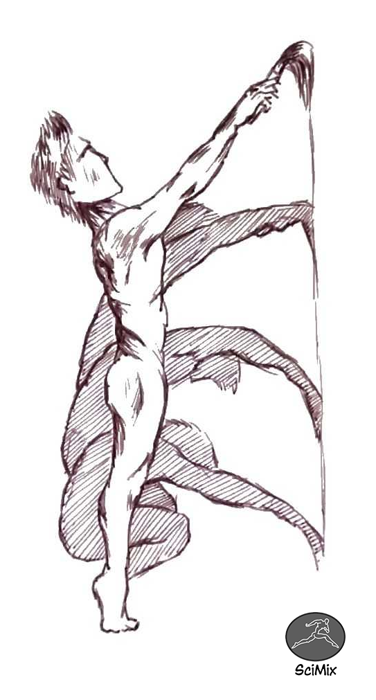 Для плавного движения длительностью не более секунды нужно нарисовать не менее 12 кадров