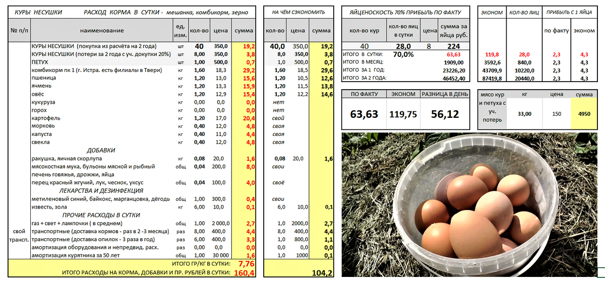 Курица сколько яиц в день. Сколько яиц несет курица. Сколько яиц несет курица в год. Расчет яйценоскости за год. Рассчитать среднемесячную яйценоскость кур.