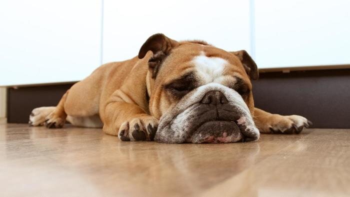 Лень говорит: "Зачем делать зарядку по утрам? У тебя нет условий. Для этого нужно записаться в тренажерный зал. Для этого нет времени" и такого рода миллионы причин не формировать добрые привычки. В такие моменты помогает только действие! Берешь и делаешь. 