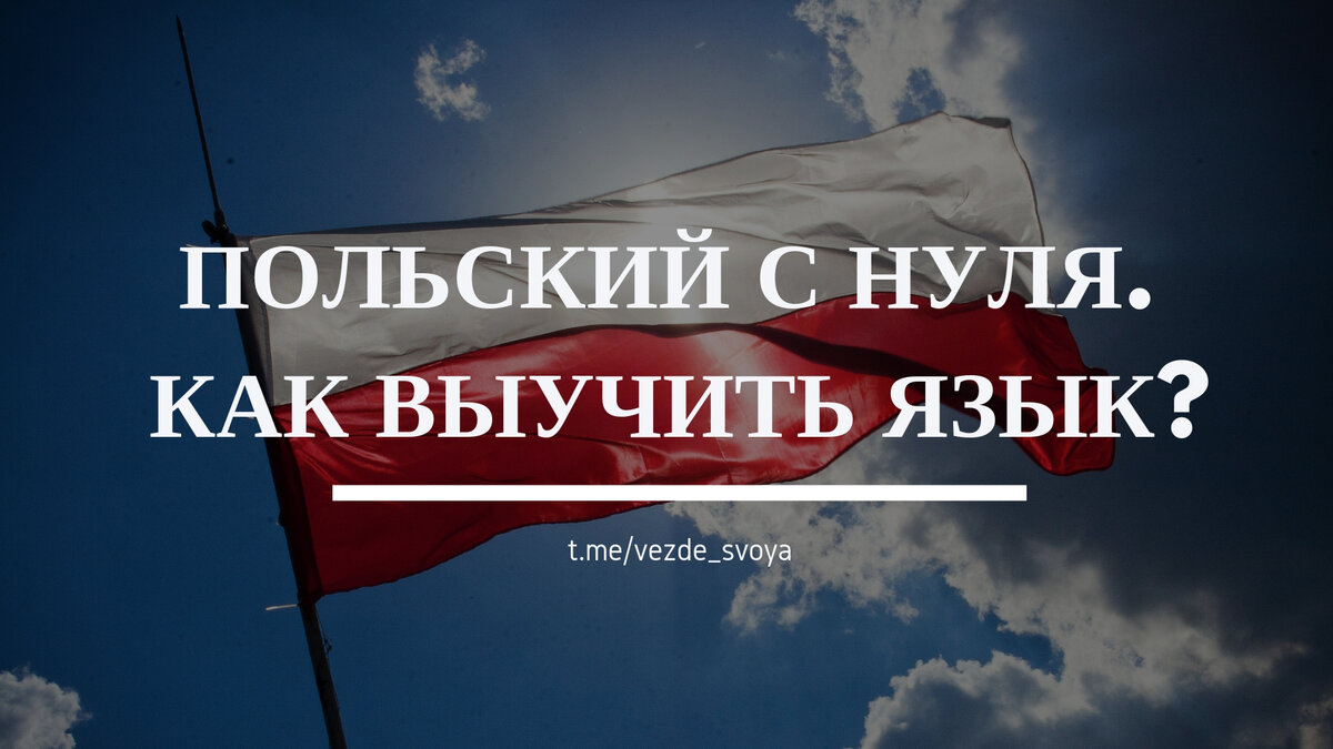 Сколько надо времени, чтобы заговорить, как поляк или как я выучила польский  с нуля? | Европа для начинающих | Дзен