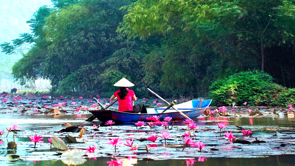 Природа Вьетнама