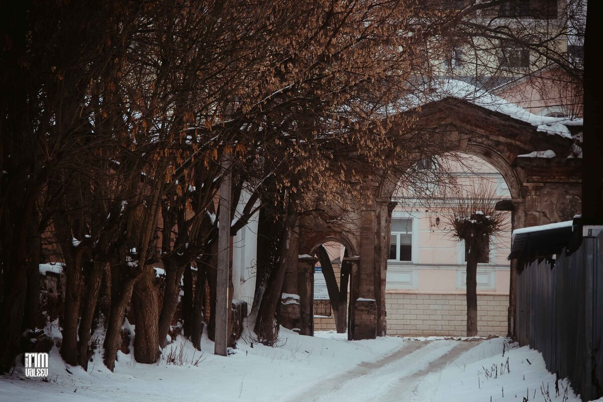 Ботанический сад на соловках. Ботанический сад соловецкого музея-заповедника соловецкий. Аполлинарий васнецов древняя москва 17 век. Монастырь в московской руси васнецов. Ансамбль ферапонтова монастыря.