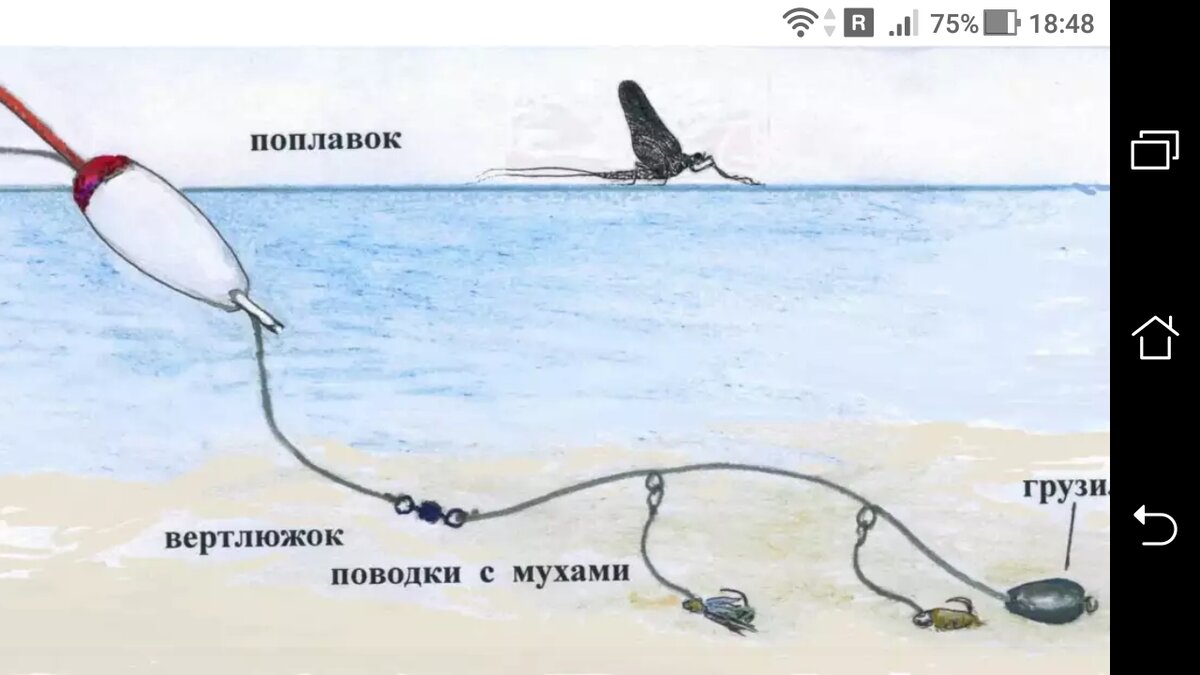 Как правильно использовать поплавок с грузом на конце: полезные советы и рекомендации