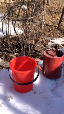 Фото из интернета