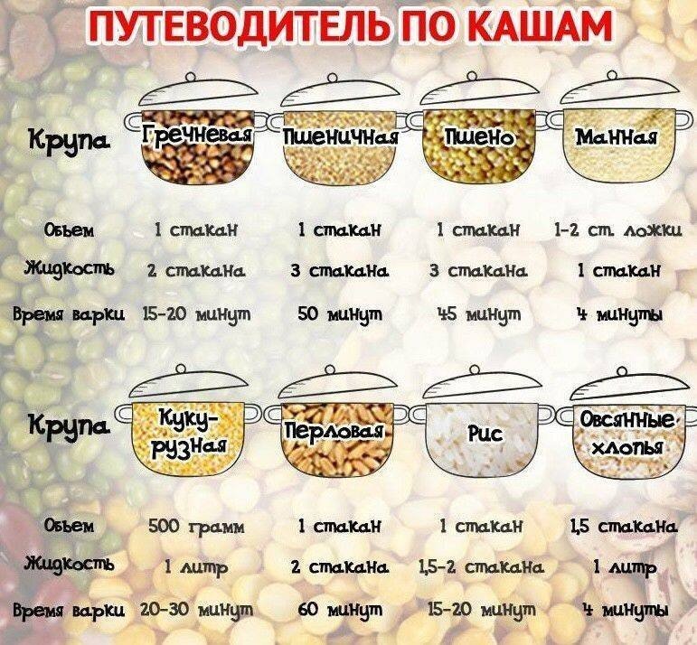 Можно ли кормить только кашами?