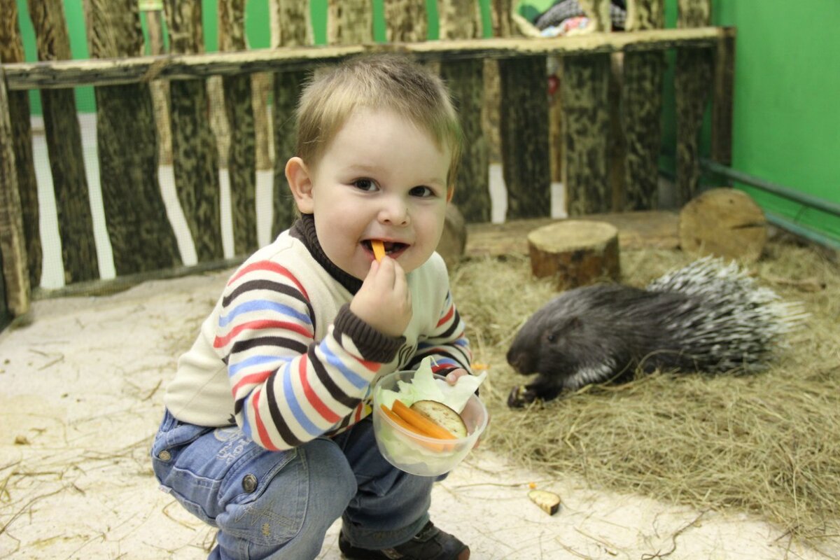 Ребёнок делает то, чего делать нельзя. 