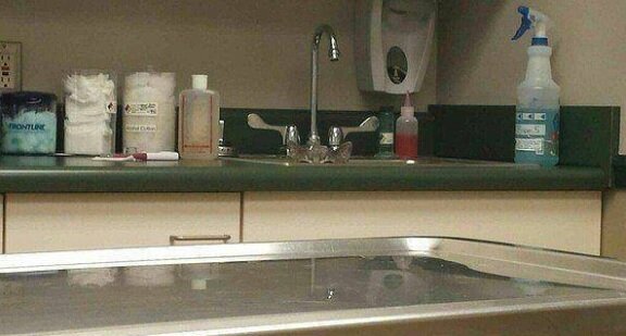 Найдите кота, который спрятался от врача.