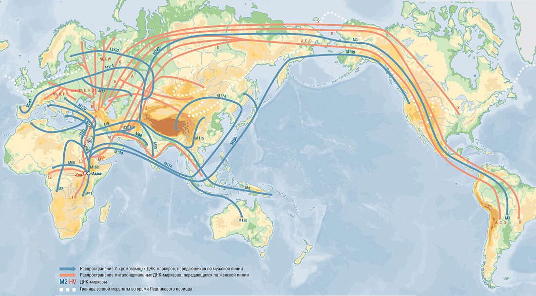 Карта продуктивности разных районов земного шара. Распространенная по всему земному шару. Расселение по земному шару. Животные планеты земля. Глобализация мира.