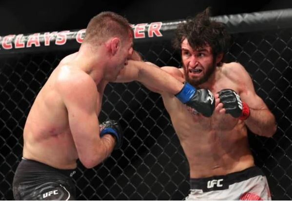 Фото: gettyimages.com