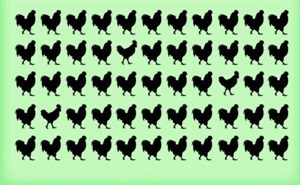 Какая бабочка отличается от других ?