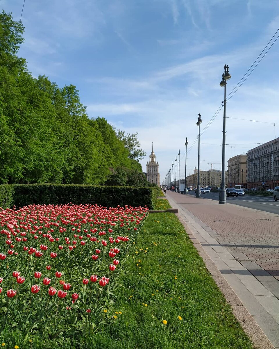 Прекрасный Московский проспект и чудесный Парк Победы слева с множеством теней от раскидистых деревьев и водоёмами