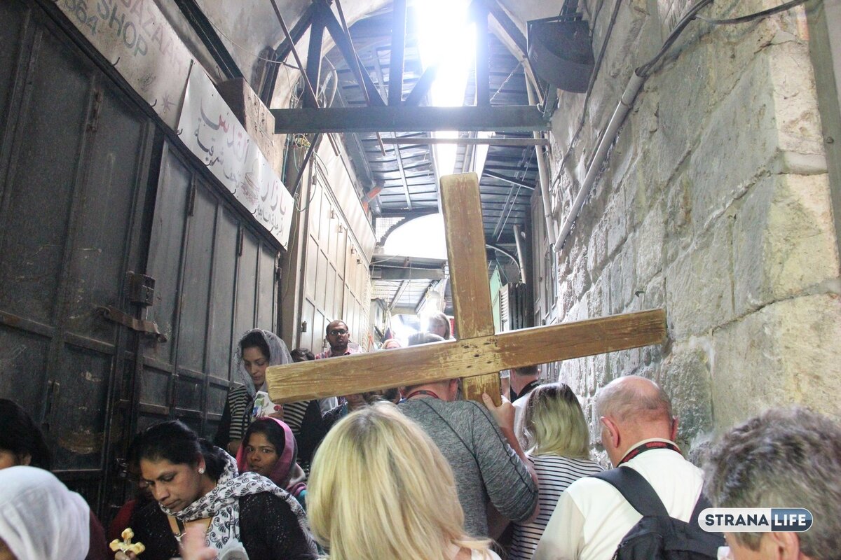 Фото: Strana.LIFE