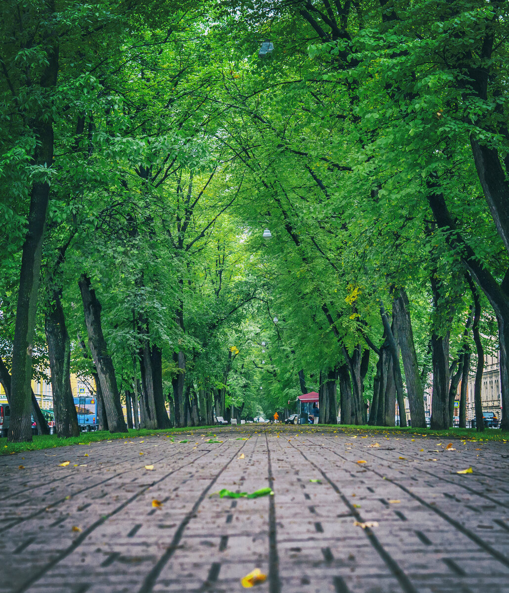 Санкт петербург конногвардейский бульвар