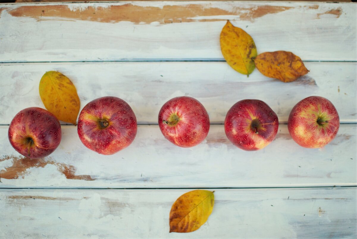 photo: unsplash