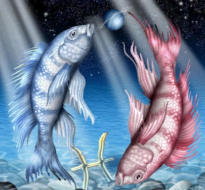 Изображение из открытых источников