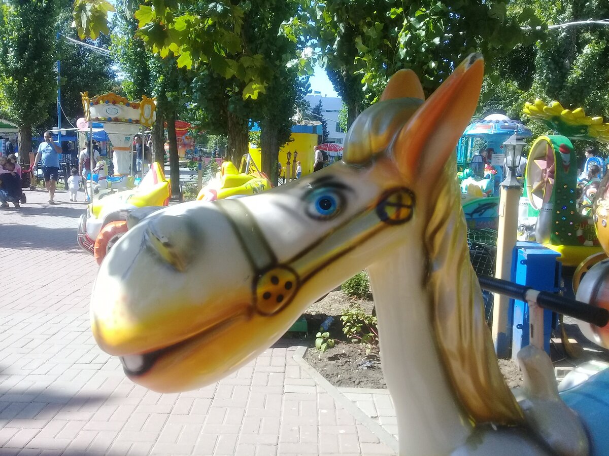 Фото автора 