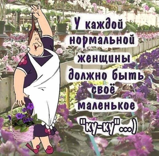Фото из открытых источников.