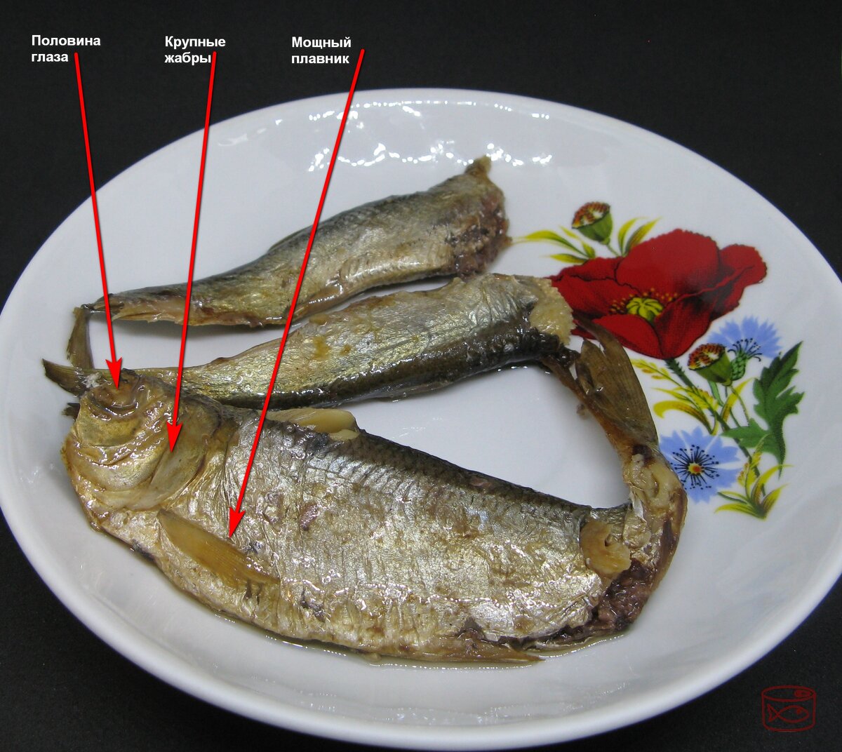 Шпроты «нетрадиционной органолептики»: попробовала консервы «Морская  радуга», согласна с экспертами | Консервы | Дзен
